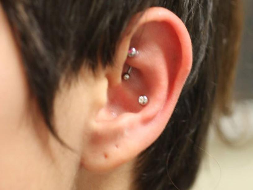 rook conch